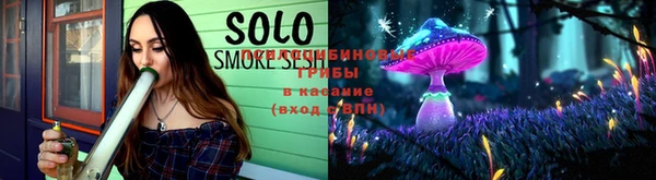 гашик Беломорск