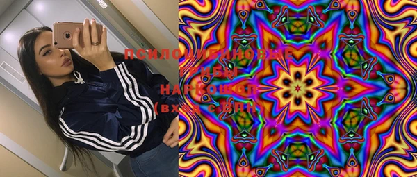 mix Белокуриха