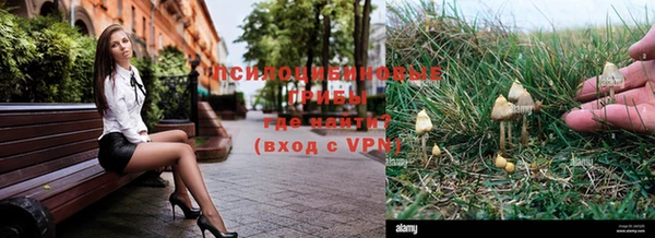гашик Беломорск
