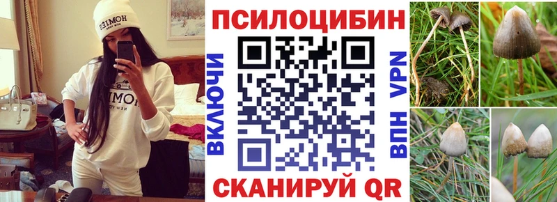 Псилоцибиновые грибы GOLDEN TEACHER  Кузнецк 